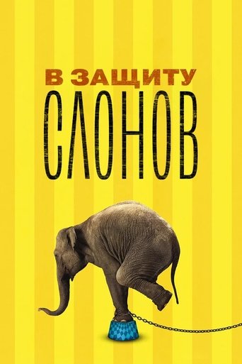 В защиту слонов в качестве 720, 1080 Hd на Эмбликс Фильм В защиту слонов online на emblix