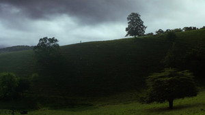 Зеленая миля кадр 63 в качестве на Эмбликс Зеленая миля кадр 63 онлайн-кинотеатр Эмбликс