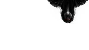 Экзорцисты кадр 3 в качестве на Эмбликс Экзорцисты кадр 3 онлайн-кинотеатр Эмбликс