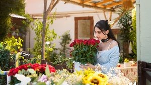 Розы и грехи кадр 4 на emblix online Розы и грехи кадр 4 на Эмбликс в Hd