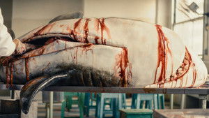 Секретный агент кадр 37 в качестве на Эмбликс Секретный агент кадр 37 онлайн-кинотеатр Эмбликс