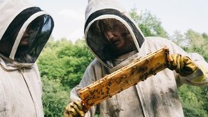 Бугония кадр 3 в качестве на Эмбликс Бугония кадр 3 онлайн-кинотеатр Эмбликс