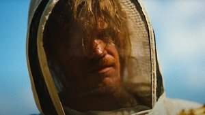 Бугония кадр 7 в качестве на Эмбликс Бугония кадр 7 онлайн-кинотеатр Эмбликс