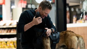 Клык 2: Город волков кадр 17 в качестве на Эмбликс Клык 2: Город волков кадр 17 онлайн-кинотеатр Эмбликс