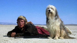 Парень и его пес кадр 8 в качестве на Эмбликс Парень и его пес кадр 8 онлайн-кинотеатр Эмбликс