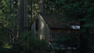 Крипер кадр 13 в качестве на Эмбликс Крипер кадр 13 онлайн-кинотеатр Эмбликс