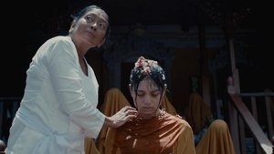 Дорога домой кадр 14 в качестве на Эмбликс Дорога домой кадр 14 онлайн-кинотеатр Эмбликс