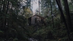 Крипер кадр 37 в качестве на Эмбликс Крипер кадр 37 онлайн-кинотеатр Эмбликс