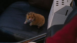 Я бы тебя пнула, если бы могла кадр 21 в качестве на Эмбликс Я бы тебя пнула, если бы могла кадр 21 онлайн-кинотеатр Эмбликс