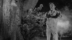 Вампиры-зомби… из космоса! кадр 4 в качестве на Эмбликс Вампиры-зомби… из космоса! кадр 4 онлайн-кинотеатр Эмбликс