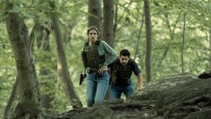 Задание кадр 16 на emblix online Задание кадр 16 на Эмбликс в Hd