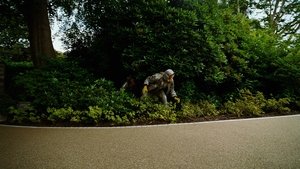 Бугония кадр 29 в качестве на Эмбликс Бугония кадр 29 онлайн-кинотеатр Эмбликс