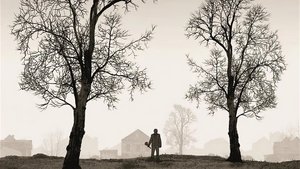 Тираннозавр кадр 2 в качестве на Эмбликс Тираннозавр кадр 2 онлайн-кинотеатр Эмбликс