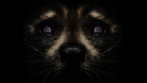 Стражи Галактики. Часть 3 кадр 19 в качестве на Эмбликс Стражи Галактики. Часть 3 кадр 19 онлайн-кинотеатр Эмбликс
