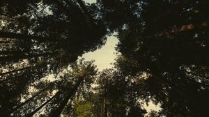 Битва за битвой кадр 54 в качестве на Эмбликс Битва за битвой кадр 54 онлайн-кинотеатр Эмбликс