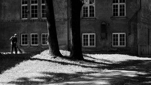 Исчезновение Йозефа Менгеле кадр 5 в качестве на Эмбликс Исчезновение Йозефа Менгеле кадр 5 онлайн-кинотеатр Эмбликс