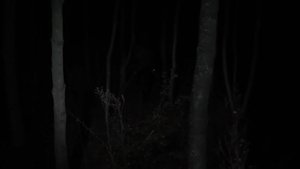 Несмотря на ночь кадр 4 в качестве на Эмбликс Несмотря на ночь кадр 4 онлайн-кинотеатр Эмбликс