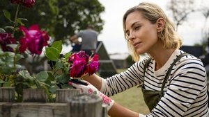 Клык 2: Город волков кадр 3 в качестве на Эмбликс Клык 2: Город волков кадр 3 онлайн-кинотеатр Эмбликс