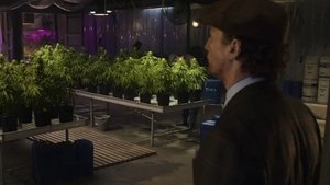 Джентльмены кадр 31 в качестве на Эмбликс Джентльмены кадр 31 онлайн-кинотеатр Эмбликс