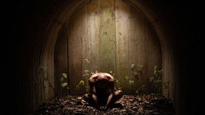 Род мужской кадр 16 в качестве на Эмбликс Род мужской кадр 16 онлайн-кинотеатр Эмбликс