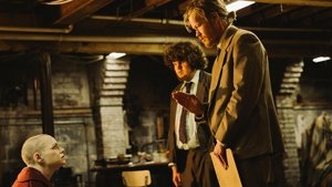 Бугония кадр 116 в качестве на Эмбликс Бугония кадр 116 онлайн-кинотеатр Эмбликс