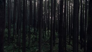 Крипер кадр 15 в качестве на Эмбликс Крипер кадр 15 онлайн-кинотеатр Эмбликс