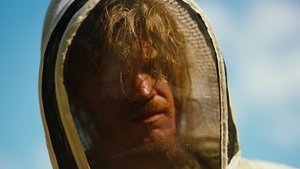 Бугония кадр 4 в качестве на Эмбликс Бугония кадр 4 онлайн-кинотеатр Эмбликс