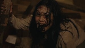 Дорога домой кадр 15 в качестве на Эмбликс Дорога домой кадр 15 онлайн-кинотеатр Эмбликс