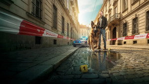 Комиссар Рэкс: Перезапуск кадр 6 на emblix online Комиссар Рэкс: Перезапуск кадр 6 на Эмбликс в Hd