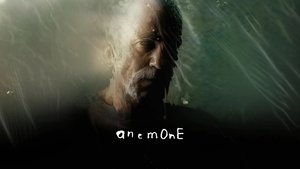 Анемон кадр 2 в качестве на Эмбликс Анемон кадр 2 онлайн-кинотеатр Эмбликс