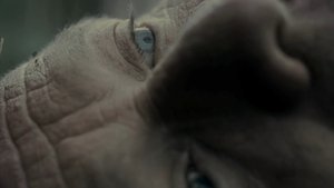 Тираннозавр кадр 6 в качестве на Эмбликс Тираннозавр кадр 6 онлайн-кинотеатр Эмбликс