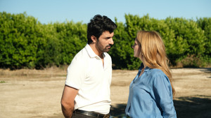 Плодородные земли кадр 2 на emblix online Плодородные земли кадр 2 на Эмбликс в Hd