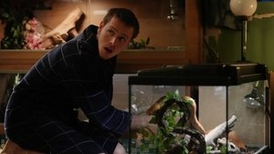 Сорванец кадр 9 в качестве на Эмбликс Сорванец кадр 9 онлайн-кинотеатр Эмбликс