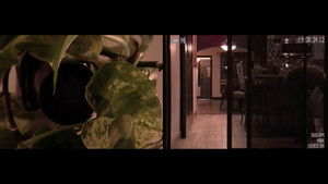 Хищники кадр 8 в качестве на Эмбликс Хищники кадр 8 онлайн-кинотеатр Эмбликс