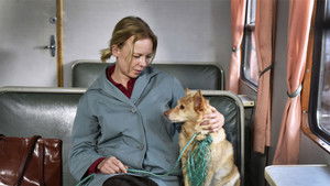 Опавшие листья кадр 5 в качестве на Эмбликс Опавшие листья кадр 5 онлайн-кинотеатр Эмбликс