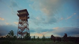 Сны поездов кадр 18 в качестве на Эмбликс Сны поездов кадр 18 онлайн-кинотеатр Эмбликс