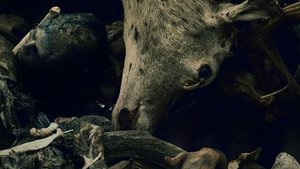 Одербрух кадр 2 на emblix online Одербрух кадр 2 на Эмбликс в Hd