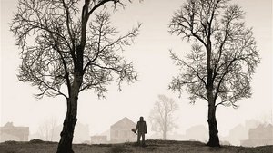 Тираннозавр кадр 3 в качестве на Эмбликс Тираннозавр кадр 3 онлайн-кинотеатр Эмбликс