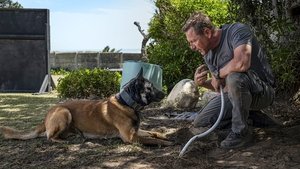 Клык 2: Город волков кадр 5 в качестве на Эмбликс Клык 2: Город волков кадр 5 онлайн-кинотеатр Эмбликс