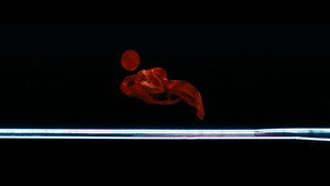 Мать Мария кадр 33 в качестве на Эмбликс Мать Мария кадр 33 онлайн-кинотеатр Эмбликс