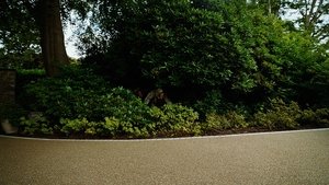 Бугония кадр 64 в качестве на Эмбликс Бугония кадр 64 онлайн-кинотеатр Эмбликс