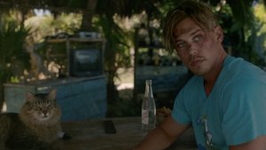 Пойман с поличным кадр 36 в качестве на Эмбликс Пойман с поличным кадр 36 онлайн-кинотеатр Эмбликс