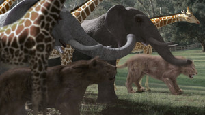 Зоозомби 2 кадр 1 в качестве на Эмбликс Зоозомби 2 кадр 1 онлайн-кинотеатр Эмбликс