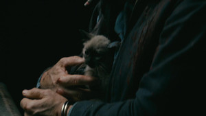 Никто кадр 43 в качестве на Эмбликс Никто кадр 43 онлайн-кинотеатр Эмбликс