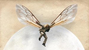 Бугония кадр 114 в качестве на Эмбликс Бугония кадр 114 онлайн-кинотеатр Эмбликс