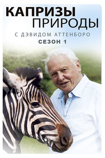 Сезон 1