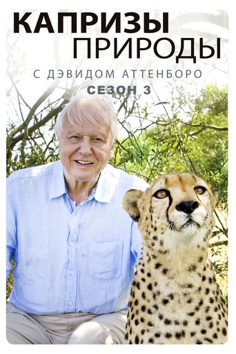Сезон 3