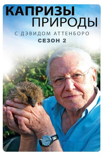 Сезон 2