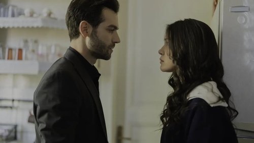 Эпизод 24