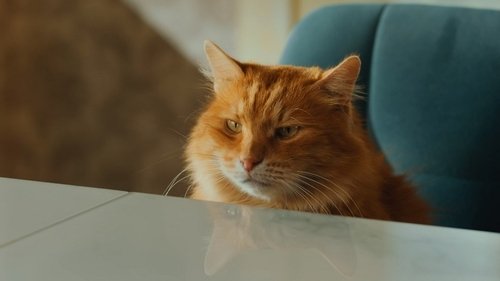 Эпизод 8